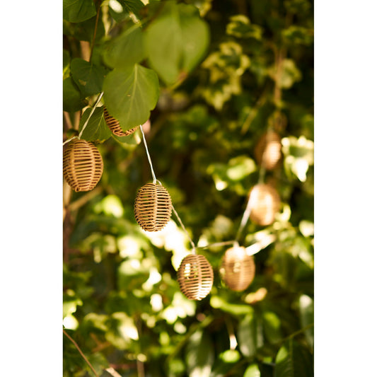 Carlisle LED Lichtstring